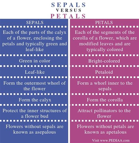 Difference Between Sepals and Petals .